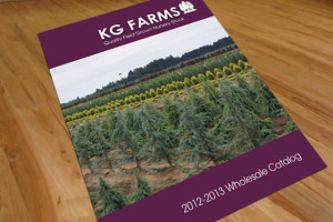 KG Farms 2013 catalog cover